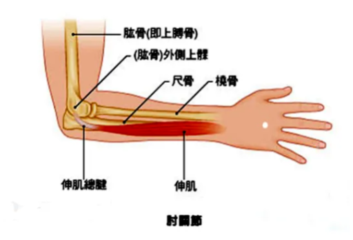 1720741566974954.png image.png