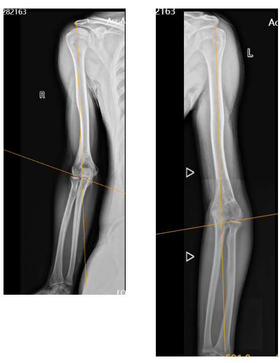 1720741609944552.png 1720741609944552.png