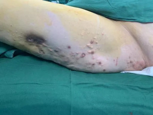 1728348527866758.png 图片 1.png